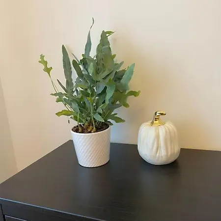 Modern 2-bedroom With Terrace & Free Parking